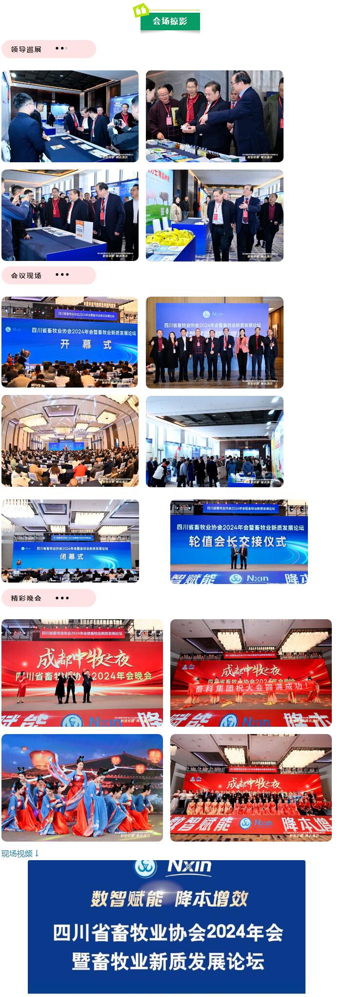 QQ截圖20250331151818.jpg